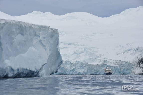 O Sea Spirit fica pequeno quando comparado às encostas geladas de Point Wild, em Elephant island, na Antártida